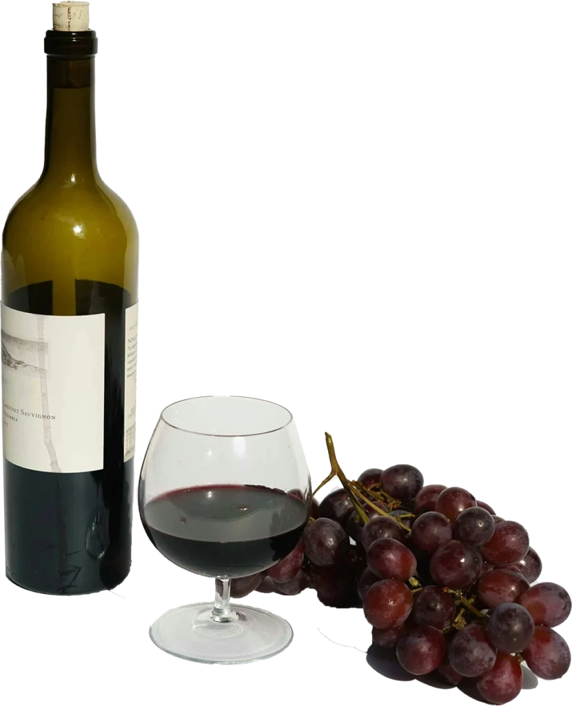 formation oeneulogie