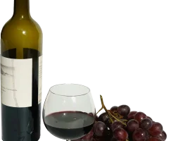 formation oeneulogie